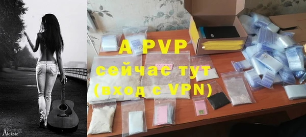 ешки Арсеньев