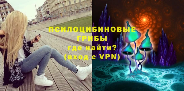 ешки Арсеньев